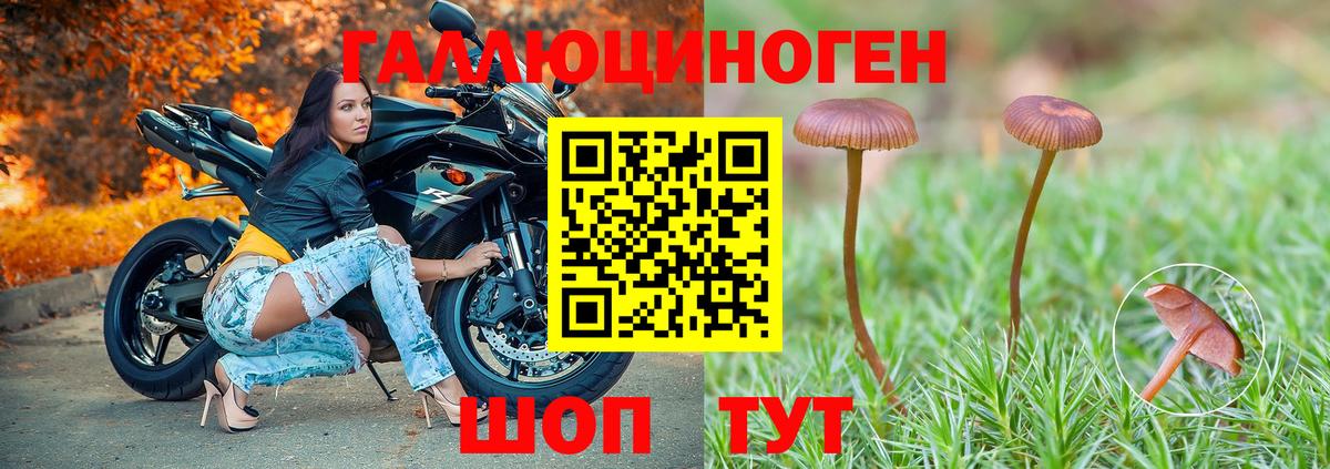 где можно купить наркотик  Вход с VPN  Миллерово  Псилоцибиновые грибы Magic Shrooms 