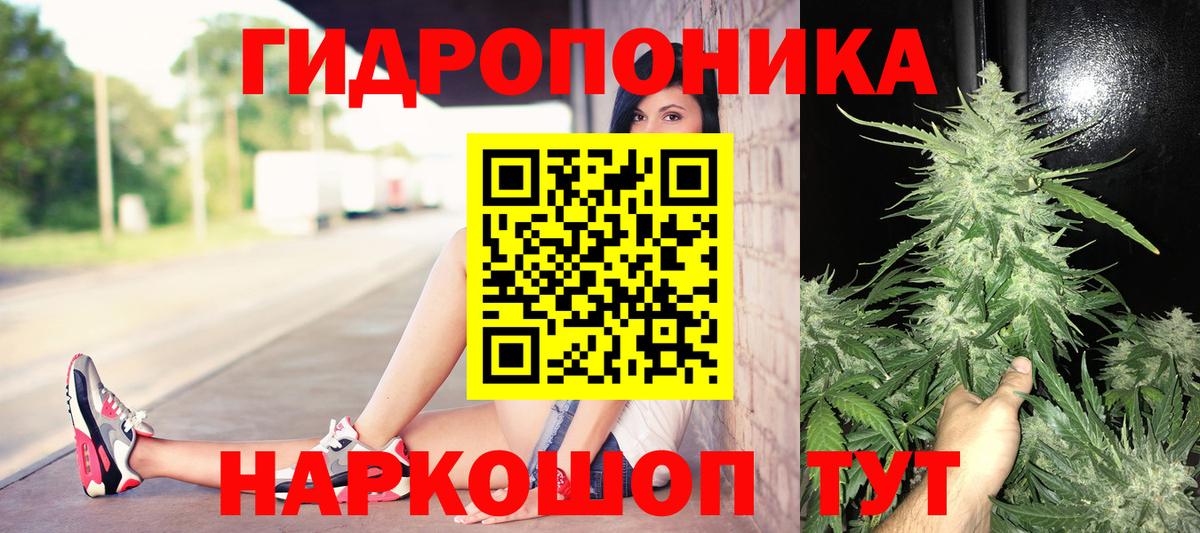 Шишки марихуана тримм Миллерово
